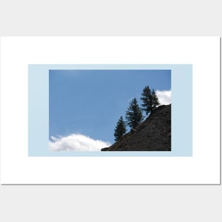 Fir Trees on Mountain Slope Alpine Alps White Cloud Posters and Art